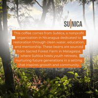 Nicaragua - SuNica Feature Roast