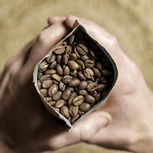 Buy Coffee Online | Read Our Story | Generous Coffee